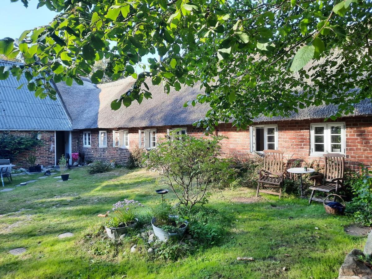 Ringkobing Fjord B&B Skjern Ngoại thất bức ảnh